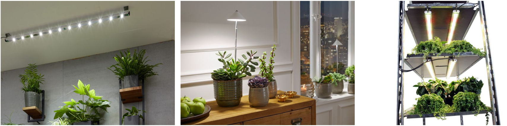 Odlingslampor - Belysning Odling