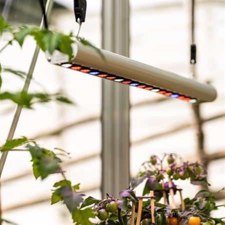 Odlingslampa Quattro